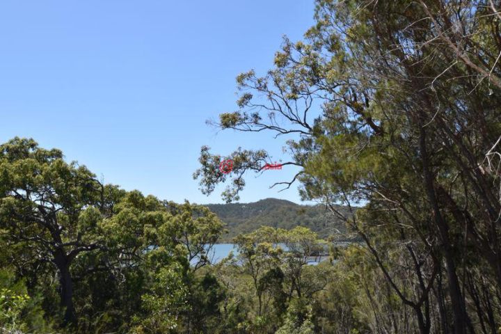 澳大利亚昆士兰russell island的土地