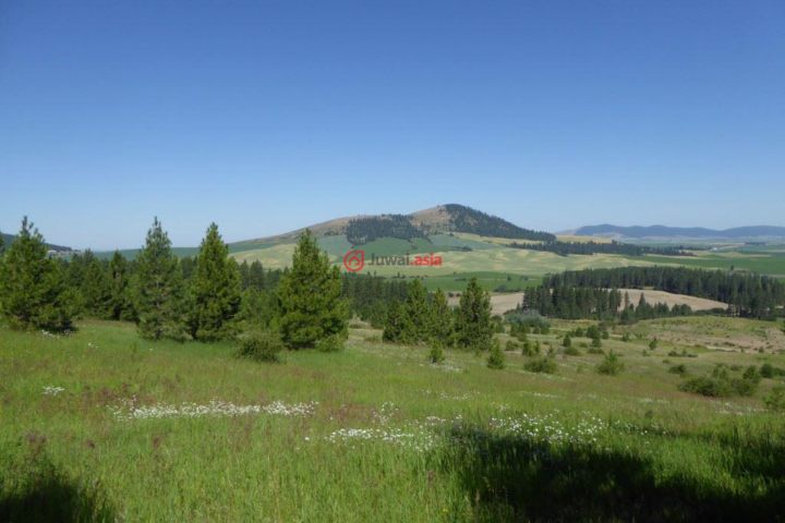 美国爱达荷州de smet的房产